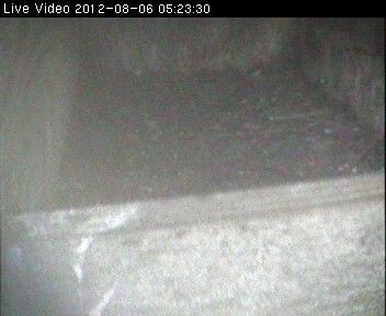 Webcam in Birmingham,United Kingdom