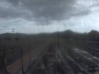 Tenuta Dell'Ornellaia Vineyard