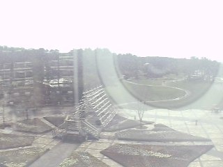 Florante Miyazaki Foursquare