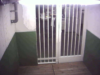Kennel Cam