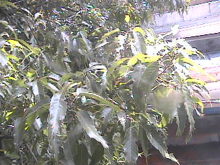Webcam in Yokohama,Japan