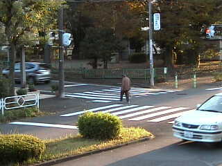 Mejirodai Crossing 