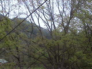 Maesaka Campground