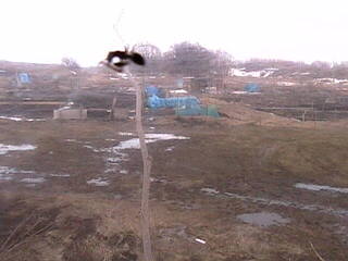 Japan Works Co., Ltd. - Works Farm