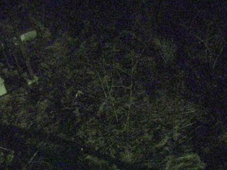 Nasu Villa Gardens