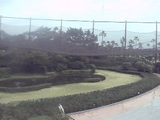 Miyazaki City Phoenix Zoo