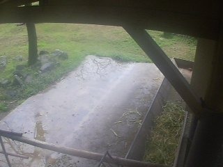 Miyazaki City Phoenix Zoo-Camel Cam