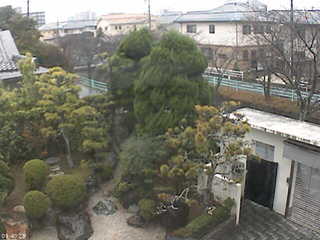 Garden Cam