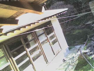 Teishoin Temple Gardens