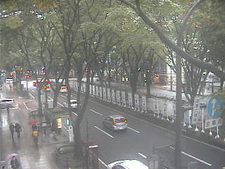 Traffic Cam