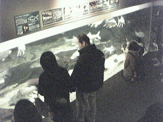 Gifu World Fresh Water Aquarium Aquatotto