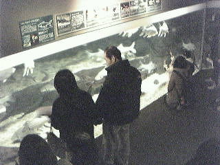 Gifu World Fresh Water Aquarium Aquatotto