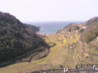 Hamanoura Rice Terraces