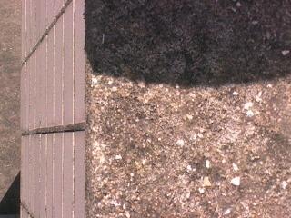 Karatsushi Government Office Boshi Fire Department HQ Western Precinct