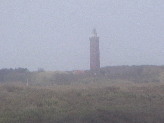 Zilt aan Zee Restaurant Beach Cam