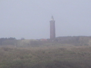 Zilt aan Zee Restaurant Beach Cam