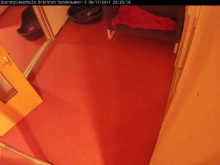 Drachten Animal Hospital