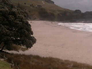 Tauranga Beach