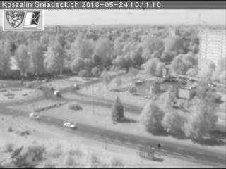 Śniadeckich